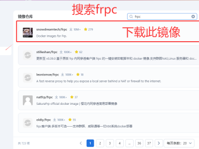 飞牛docker上安装frpc客户端